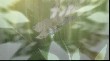 OUTPUT_000214.jpg